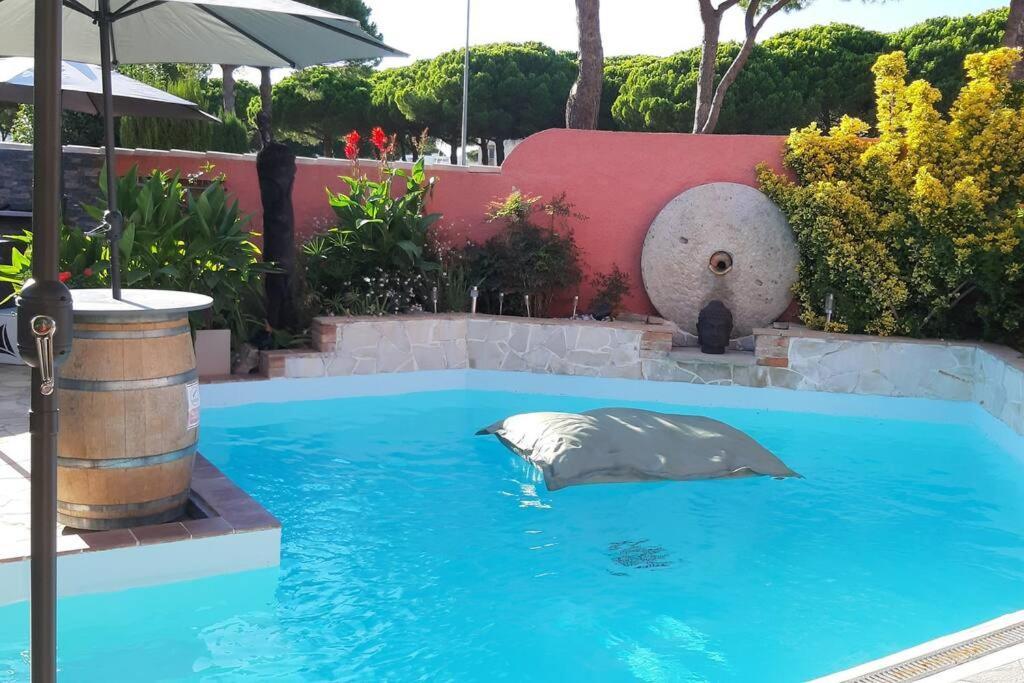 Hebergement Chambre D'Hotes Grau Du Roi Mas Des Marines Piscine Adult Only Le Grau-du-Roi Kültér fotó